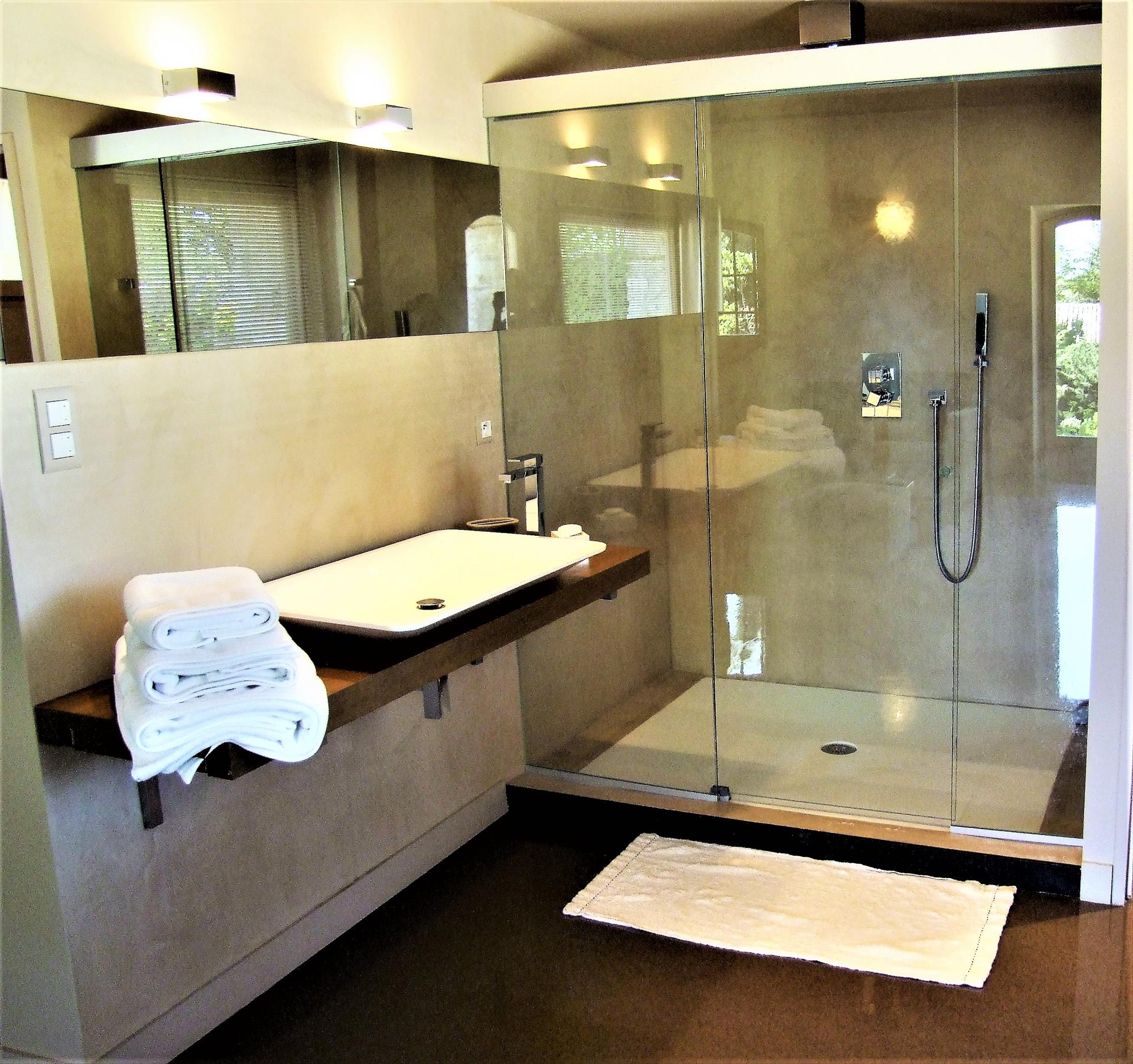 A BATHROOM WITH SHOWER IN LA DEMEURE DES SEIGNEURS VILLA